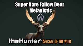 Super Rare Fallow Deer  theHunter Call Of The Wild [upl. by Calan]