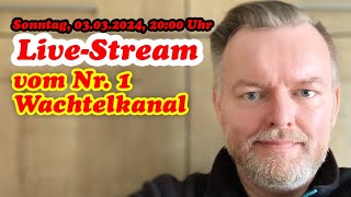 Der Nr 1 WachtelKanal lädt zum LIVESTREAM realtalk Wachtelfarm Hettstedt [upl. by Casper]