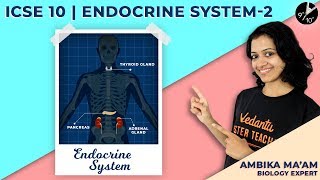 The Endocrine System One Shot Part1  ICSE Class 10 Biology Chapter 12  Semester2  Vedantu [upl. by Gawain]