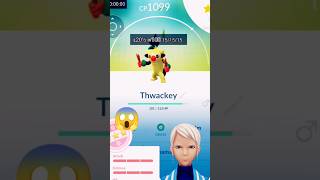 Super thwackey evolution 😱😱 short  viral  tranding  pokemon go [upl. by Felipa896]