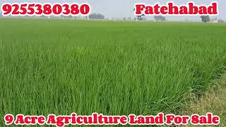 9 Acre Agriculture Land For Sale in Fatehabad Haryana  9255380380  farming [upl. by Butterworth]