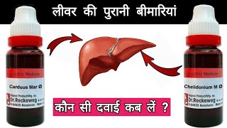 लीवर की पुरानी गर्मी  liver disease  Cardus M Q  Chelidonium Q  Jaundice  garmi  dr tarun [upl. by Ahsenev]