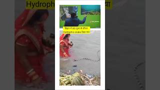 बिहार में छठ पूजा के दौरान Hydrophis snake देखा गया chathpuja biharisnake khansirpatna khansir [upl. by Holtz]