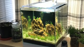 ciano nexus pure 25 aquarium 22 litre review Pump WARNING Please watch before you buy [upl. by Miza]