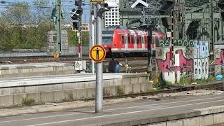 Boogies Trains in Cologne  May 2024  The SBahn [upl. by Lerner]