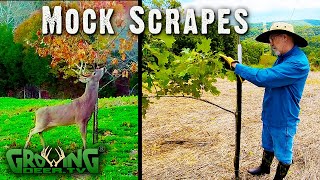 Easy Step by Step Guide to Make Mock Scrapes 570 [upl. by Tnairb]