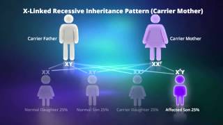 What is Xlinked Recessive Inheritance [upl. by Rodriguez]