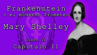 Frankenstein o el moderno Prometeo de Mary Shelley Libro II capítulo 11 Audiolibros feministas [upl. by Camden]