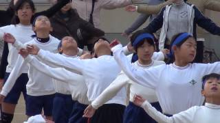 名子連：よんこリンピック2013ラジオ体操 名陵中学校：入学式 [upl. by Yrol]