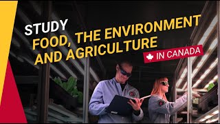 Study Food the Environment and Agriculture in Canada at the University of Guelph [upl. by Elreath304]