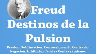 Freud Destinos de la Pulsion [upl. by Karwan]