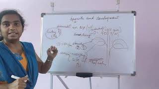 4 1 Growth and development of crop pattern and growth analysis Part 1 [upl. by Tdnaltroc]