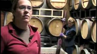 Winery  Wine  Making Wine in Colorado [upl. by Eiznekcm]