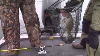 Chilly Weather Bass Fishing on Laurel River Lake [upl. by Einnig491]