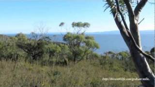 Isthmus Track Circuit in Freycinet National Park [upl. by Adekam]