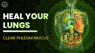 Heal Your Lungs  Clear Phlegm Mucus Get Rid Of Sputum Cold And Flu  741 hz Detoxification Music [upl. by Niobe]