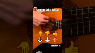 Flamenco Guitar Lesson for beginners [upl. by Ghiselin]