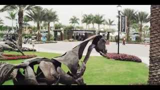 Winter Equestrian Festival Overview [upl. by Neirad117]