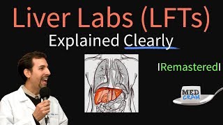 Liver Function Test Interpretation LFTs  Liver Enzymes Remastered Bilirubin GGT Alk Phos [upl. by Veal]