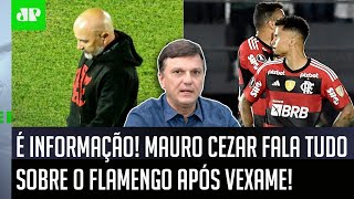 BASTIDORES quotEu FALEI COM UMA FONTE no Flamengo equot Mauro Cezar ABRE O JOGO após ELIMINAÇÃO [upl. by Breech]