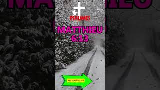 MATTHIEU 613bible dieu jesus motivation verset video viral biblemessage psaume fypシ [upl. by Ynavoeg72]