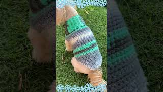 Crochet small dog sweater [upl. by Armbruster]