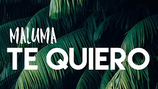 MALUMA  TE QUIERO  LETRA LYRICS  ENGLISH TRANSLATION [upl. by Fischer]