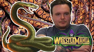 WWE WrestleMania 34 Punishment Part Two Snake My Day [upl. by Eissalc425]