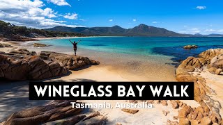 WINEGLASS BAY WALK  Tiger Snakes and Beautiful Beaches in Tasmanias Freycinet National Park [upl. by Namajneb]