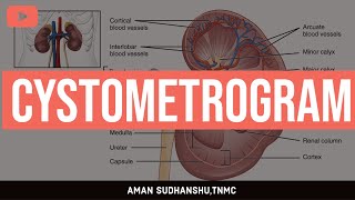 CYSTOMETROGRAM  RENAL PHYSIOLOGY  GK PAL  MUHS  AMAN SUDHANSHU  TNMC [upl. by Nimref]