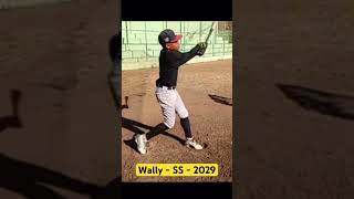 Wally SS  202829 baseball [upl. by Eisnyl680]