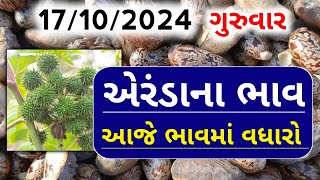 એરંડા ના ભાવ । 17102024 । Aranda Na Bhav । આજનાં એરંડાના ભાવ । eranda no bhav [upl. by Akaya]