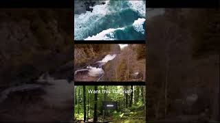 Inshot Multi Layer Video Short Preview tutorial inshotapp inshot [upl. by Petronille]