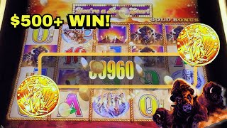 I Found The Buffalo Gold Slot Machine That Actually Pays [upl. by Brittany635]