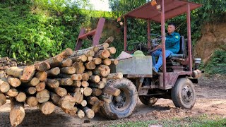 Wood processing for export is amazingwoodworking woodcutting wood pee machine [upl. by Bowne439]