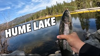 Hume Lake CA Trout Fishing  Tons of Stocked Trout [upl. by Adelaide]