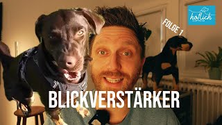 Blickverstärker  Der erste Weg zur sicheren Orientierung Folge 1 [upl. by Giffie853]