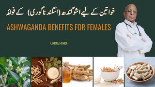 Ashwagandha Benefits For Females  اسگندھ ناگوری اور خواتین کے امراض  Urdu  हिंदी  Drjeelani [upl. by Harriette]