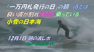 「一万円札発行の日」の朝 待てば 良い波が割れ 仲間が乗っている 小雪の日本海 241201 サーフモンキーTV [upl. by Artemis]