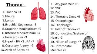 💯Important Topics for Anatomy2 University Exam Thorax  Abdomen  Pelvis  Lower Limb  Histology [upl. by Cleary]