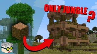 I Made A House With ONLY Jungle Wood   Building Challenges  Minecraft [upl. by Nyrol399]