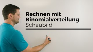 Rechnen mit Binomialverteilung anhand vom Schaubild Stochastik Wahrscheinlichkeit [upl. by Llewen]