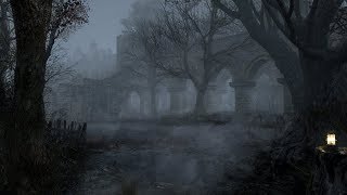 Haunted Forest Sounds  Ghostly Murmurs  1 Hour [upl. by Etsirhc]