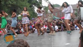 ATL GREEK PICNIC 2010 AKA ALPHA KAPPA ALPHA STROLLING [upl. by Ravilob]