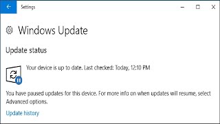 How to Pause and Defer Updates on Windows 10 [upl. by Diraf]