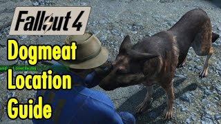 Dogmeat Location Guide  Fallout 4  xBeau Gaming [upl. by Durkin]