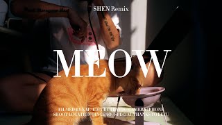 MEOVV ‘MEOW’ SHEN Remix [upl. by Todhunter]