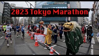 2023 Tokyo Marathon  Japan Trip [upl. by Medarda]