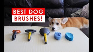 BEST DOG BRUSHES FOR SHEDDING AND HEALTHY FUR HAIR [upl. by Modesta260]