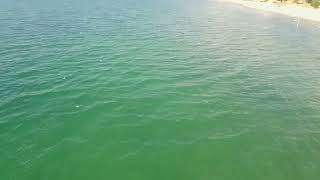 Saugatuck Michigan By Drone [upl. by Eardnaed]